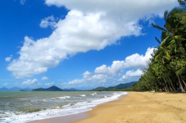 Palm Cove, Cairns, Avustralya 'daki sahil. Yazın güneşli bir gün.