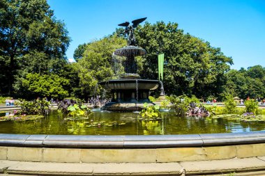 Central Park, New York. 28 Temmuz 2019. Central Park 'ın editör fotoğrafı.