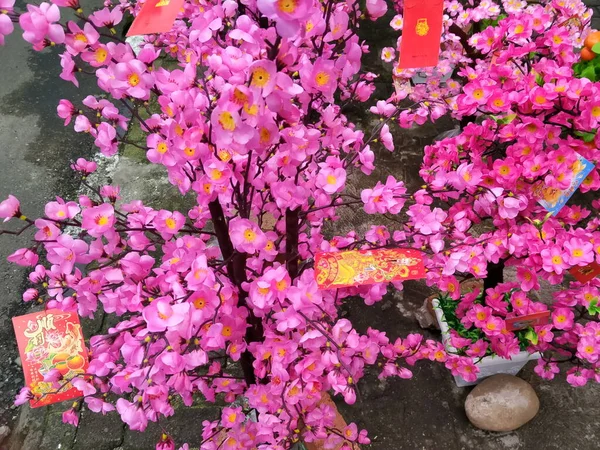 西雅加达Glodok 2020年1月16日 中国Sincia Angpao Meihua Sakura农历新年用树 — 图库照片
