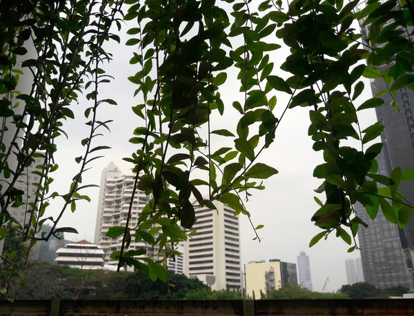Benhil Dżakarta Indonezja Sierpnia 2016 Atmosfera Wysokiego Budynku Biurowego Wznosi — Zdjęcie stockowe