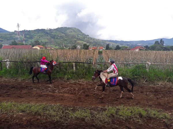 Lembang Bandung Jawa Barat Indonésia Dezembro 2016 Jóquei Montando Cavalo — Fotografia de Stock