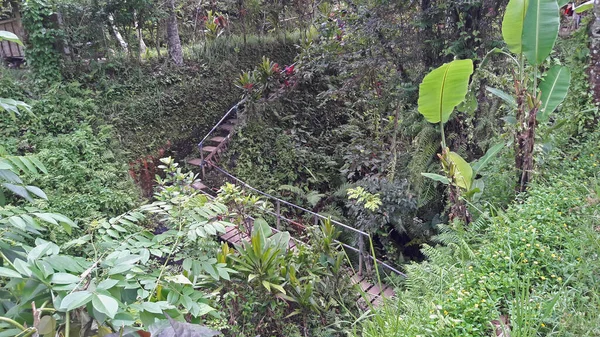 Bäuerliche Atmosphäre Ubud Dorf Bali Das Sehr Kühl Ist — Stockfoto