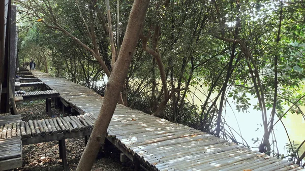 Mangrove Forest Jakarta Indonésia Setembro 2018 Ruas Nas Atrações Turísticas — Fotografia de Stock