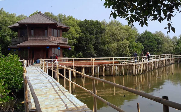 Mangrove Forest Jakarta Indonésia Setembro 2018 Mangrove Atrações Turísticas Com — Fotografia de Stock