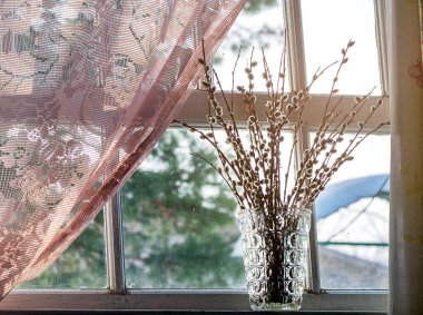 Eski söğüt dalları pencerede bir vazoda