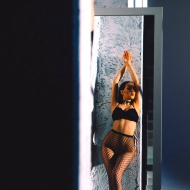 Akşamları, genç ve güzel bir kız boş bir stüdyoda yalnızdır, neredeyse hiç elbisesi yoktur, çıplaktır, batan güneş vücudunun üzerine düşer ve Gölgeler ve hatlar yayar.