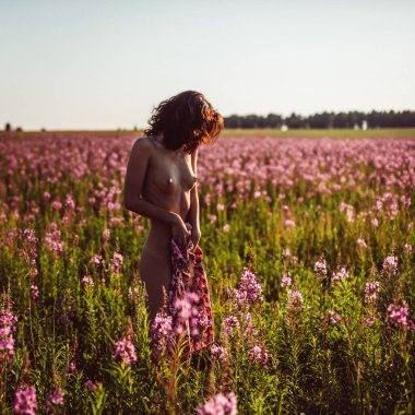 Çicek tarlasında, buğday, güneş, gökyüzü ve yeşillik olan bir tarlada çıplak bir kızın güzel vücudu..