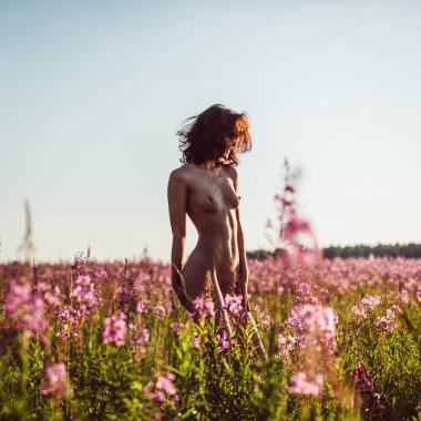 Çicek tarlasında, buğday, güneş, gökyüzü ve yeşillik olan bir tarlada çıplak bir kızın güzel vücudu..