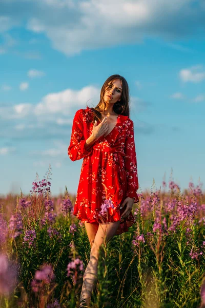 Hermosa Alta Joven Pelo Largo Vestido Rojo Campo Con Flores — Foto de Stock