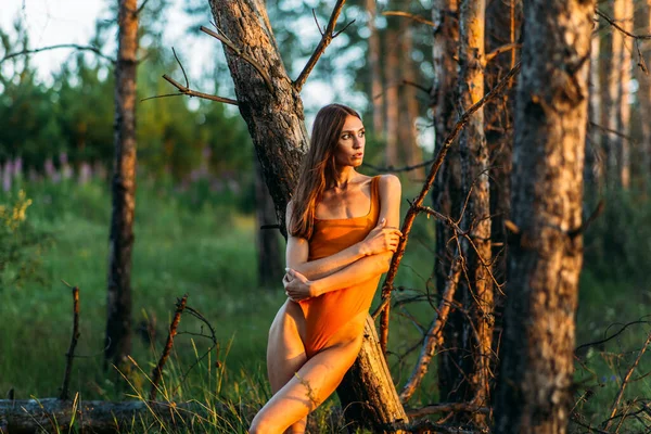 明るいボディスーツの美しい女の子は 長い髪のブルネットだけでは 森の中で 木々を介して夜の光 緑と太陽 — ストック写真