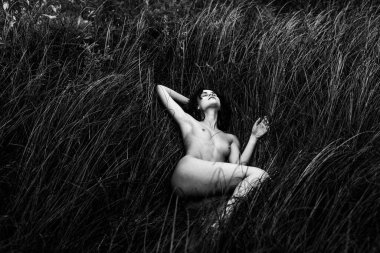 Kıvırcık saçlı, genç ve güzel bir kız. Sonbaharda, uzun sarı çimenlerin arasında yerde çıplak yatıyor.