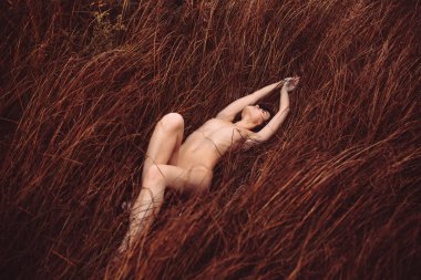 Kıvırcık saçlı, genç ve güzel bir kız. Sonbaharda, uzun sarı çimenlerin arasında yerde çıplak yatıyor.