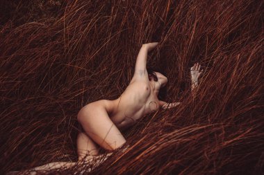 Kıvırcık saçlı, genç ve güzel bir kız. Sonbaharda, uzun sarı çimenlerin arasında yerde çıplak yatıyor.