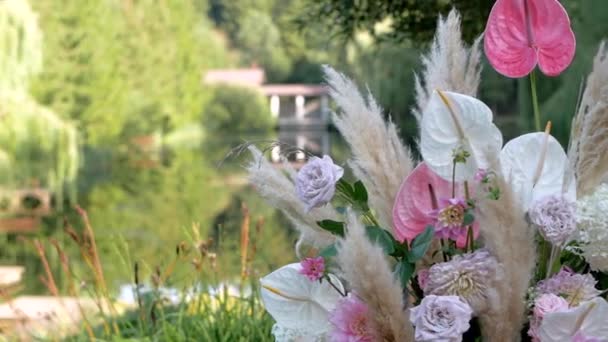 Ein Schöner Bogen Aus Gelbem Und Rosa Pampangras Mit Rosa — Stockvideo