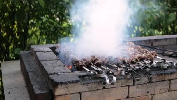Mięsa Szaszłykach Które Smażone Jest Węglu Grillu Cegieł Jest Dym — Wideo stockowe