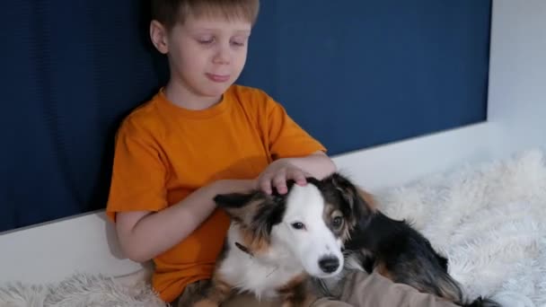 オレンジ色のTシャツを着た男の子が寝室に座っていて 白いベッドの上に座っていて 白い犬が膝の上にいて それを撫でていて カメラに面白い顔をしている — ストック動画