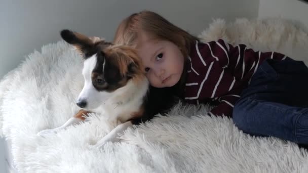 Una Niña Con Pelo Largo Gato Los Pantalones Encuentra Dormitorio — Vídeos de Stock