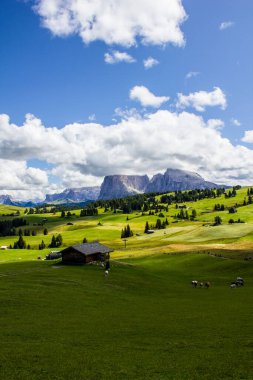 Alpe di Siusi, Sella ve Langkofel Dağ Grubu ile birlikte arka planda.