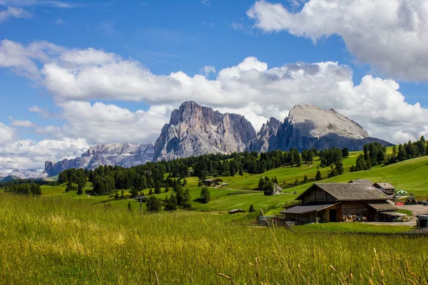 Alpe Siusi Avec Les Montagnes Sella Langkofel Group Arrière Plan — Photo