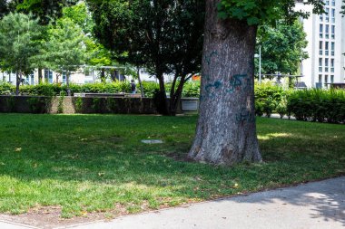 Viyana, Avusturya - 6 Haziran 2019: Burggarten, Viyana