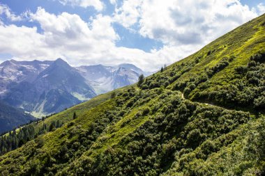 Hintertux, Tyrol, Avusturya dağlarında yürüyüş patikası
