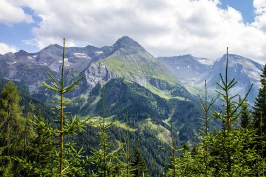 Arka planda Hintertux üzerinde Dağları olan Tirol Manzarası