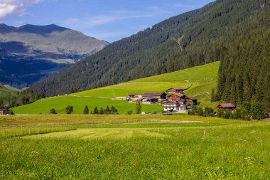 Yazın Yeşil Tyrolean Manzarası Chalets ile, Tux Vadisi, Avusturya