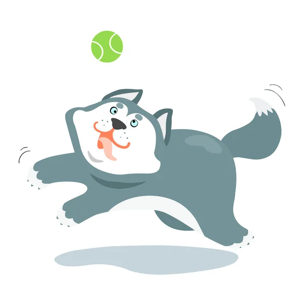 Zabawny siberian husky pies i piłka wektor — Wektor stockowy