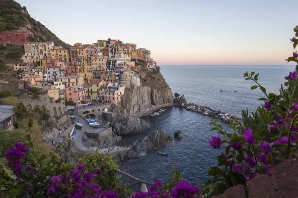 Manarola 镇的看法 图库照片