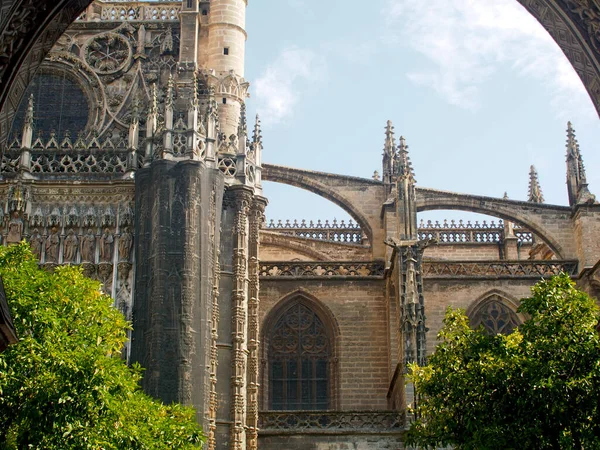 Seville Katedrali (İspanyolca: 