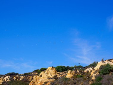 Martılar güneşli bir günde uçurumların üzerinde uçuyorlar. Mazagn plajı, Huelva, İspanya. Ağustos 2012