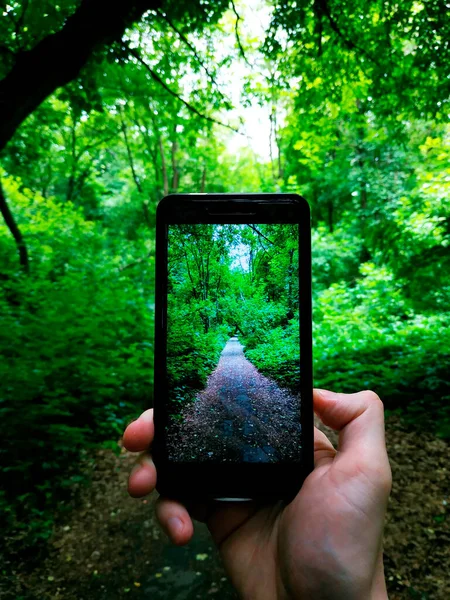 İçerideki fotoğraf. Telefonun bir orman yolunun fotoğraflarını nasıl çektiğini çekiyorum. Kharkiv, Ukrain.