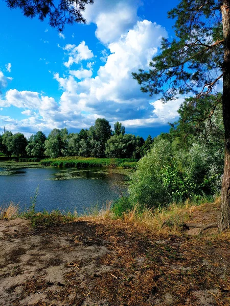 Nehir kenarındaki ormanda dinlen. Pisochyn, Harkiv, Ukrayna.