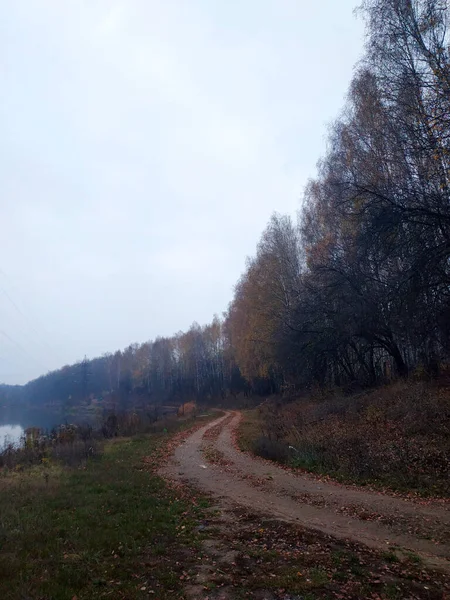 A narrow path in the autumn forest hides in the distance. Black and white.Kharkiv, Ukraine