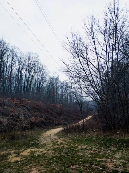 Sonbahar ormanlarında dar bir patika uzakta saklanır. Siyah ve beyaz. Harkiv, Ukrayna