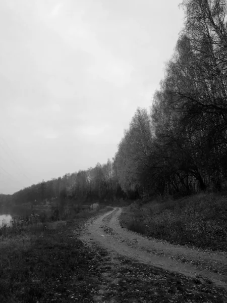 Narrow Path Autumn Forest Hides Distance Black White Kharkiv Ukraine — Stock Photo, Image