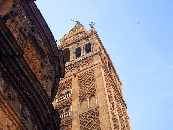 Giralda Kulesi Sevilla 'nın en yüksek noktasıdır. Alt görünüm. 