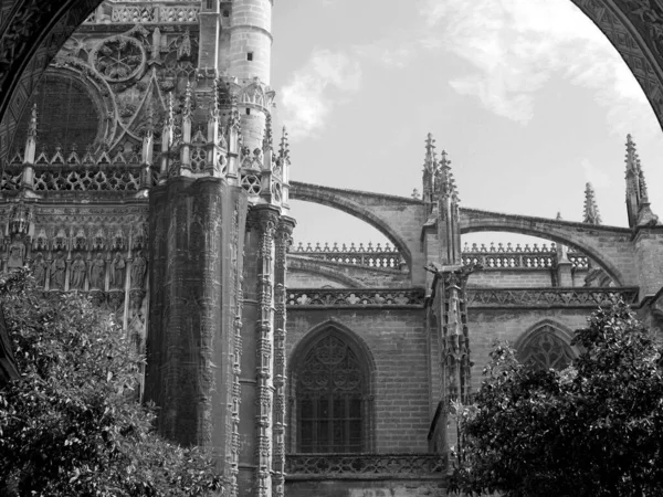 Saint Mary of the See, İspanya 'nın Endülüs eyaletinde yer alan bir katedraldir. Dünyanın en büyük onuncu kilisesi. Siyah ve beyaz. 08.2012