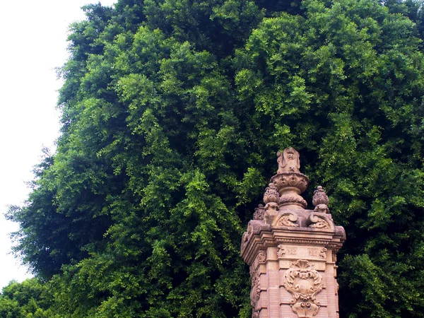 Yeşillik bir ağacın arka planına karşı heybetli bir sütun. Siyah ve beyaz. Sevilla, İspanya. 2012