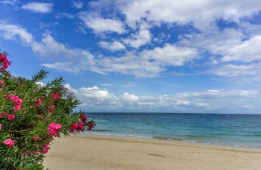 Playa Larga (Long Beach) veya Panama Körfezi, Contadora adasındaki Wreck plajı.