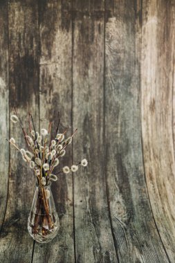 Pussy-willow branches with catkins, spring wooden background