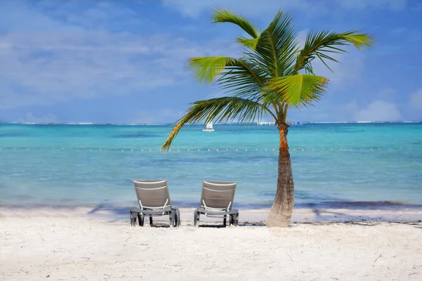 Zwei Liegestühle Neben Einer Palme Einem Weißen Sandstrand Mit Türkisfarbenem — Stockfoto