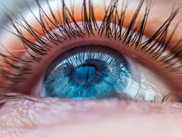 Kontakt lensli beyaz insan gözü yakından bakıyor. kontak lens görüşü tıbbi düzeltme kavramı