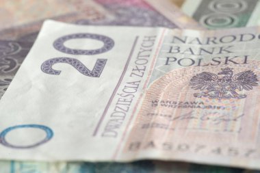 Polonyalı Zl nakit banknotlarının yakın plan çekimleri.