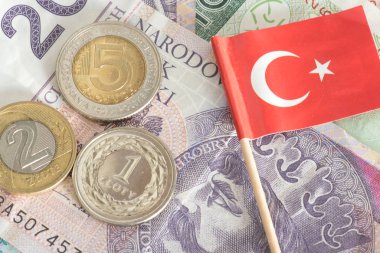 Polonyalı zloti banknotları ve Türk bayrağıyla paraların yakın plan çekimi