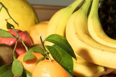 Çeşitli taze meyvelerin yakın çekimi