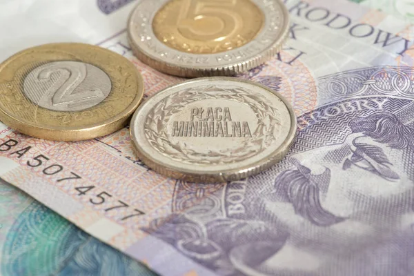 Billetes Monedas Zloty Polaco Pln Salario Mínimo Polonia —  Fotos de Stock