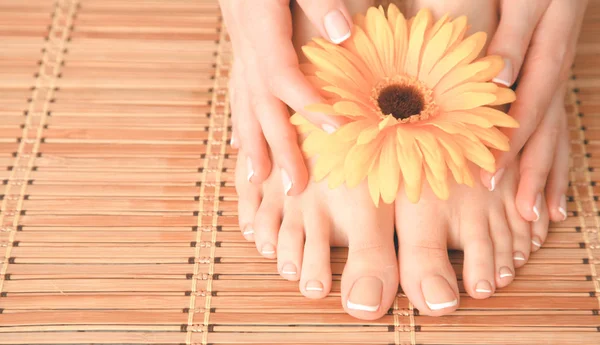 Care for beautiful woman legs with flower — Stock Photo, Image