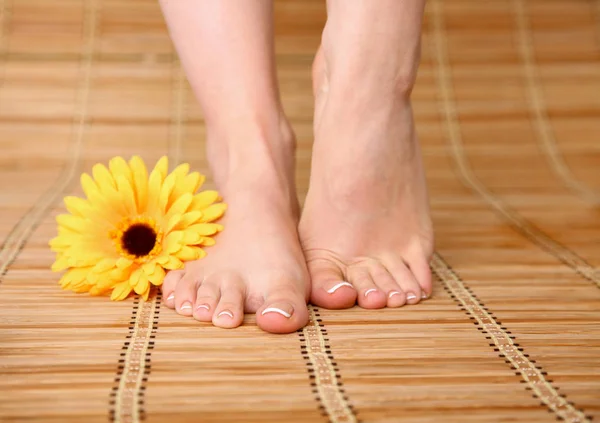 Care for beautiful woman legs on the floor — Stock Photo, Image