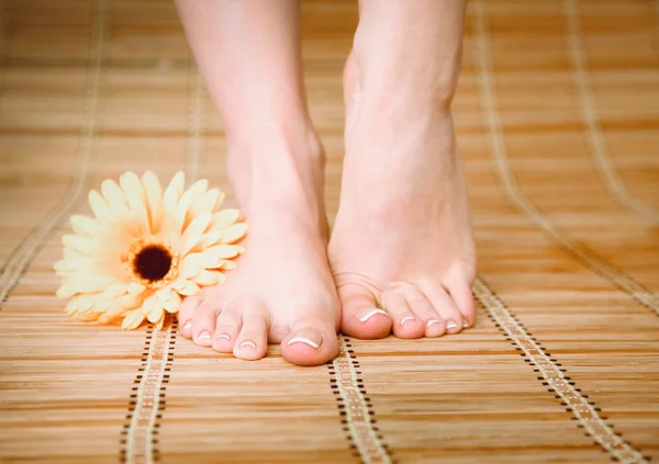 Pflege für schöne Frauenbeine auf dem Boden — Stockfoto
